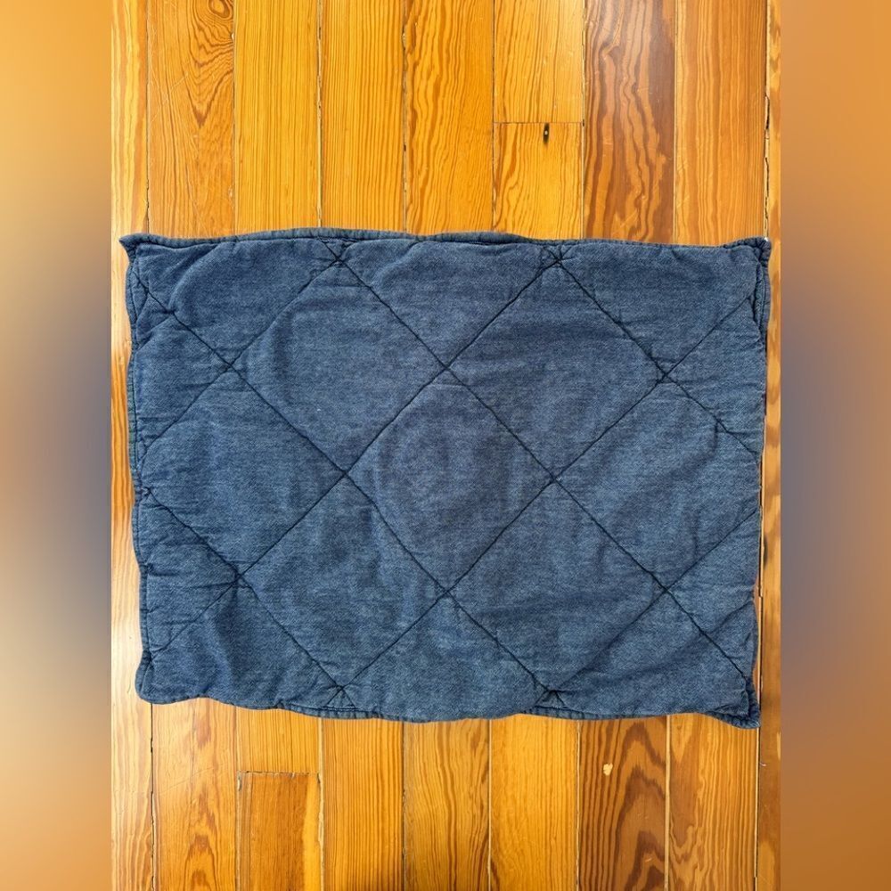 Pottery Barn Kids Dark Chambray Pillowsham